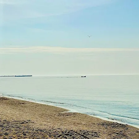 Apartment Vanagupes Pusyno Premium Apartamentai Palanga